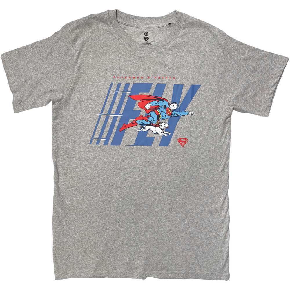 DC Comics Superman - Fly Herren TShirt - Grau